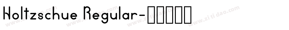 Holtzschue Regular字体转换